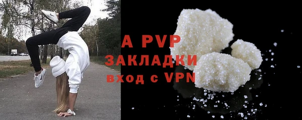 стафф Аркадак