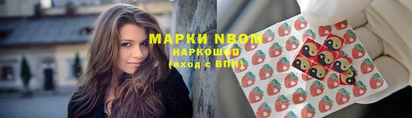 стафф Аркадак