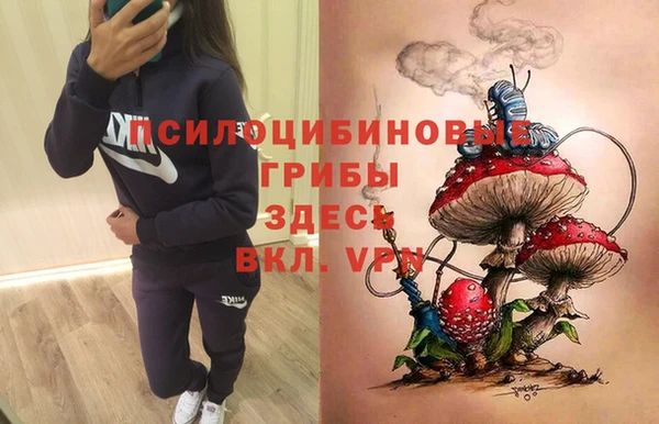 герыч Арсеньев
