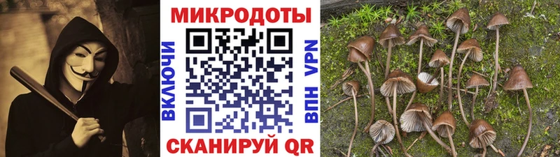 где можно купить наркотик  Закаменск  Галлюциногенные грибы прущие грибы 